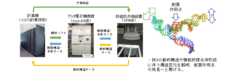 事業概要